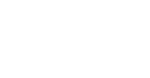 BSTN-Logo