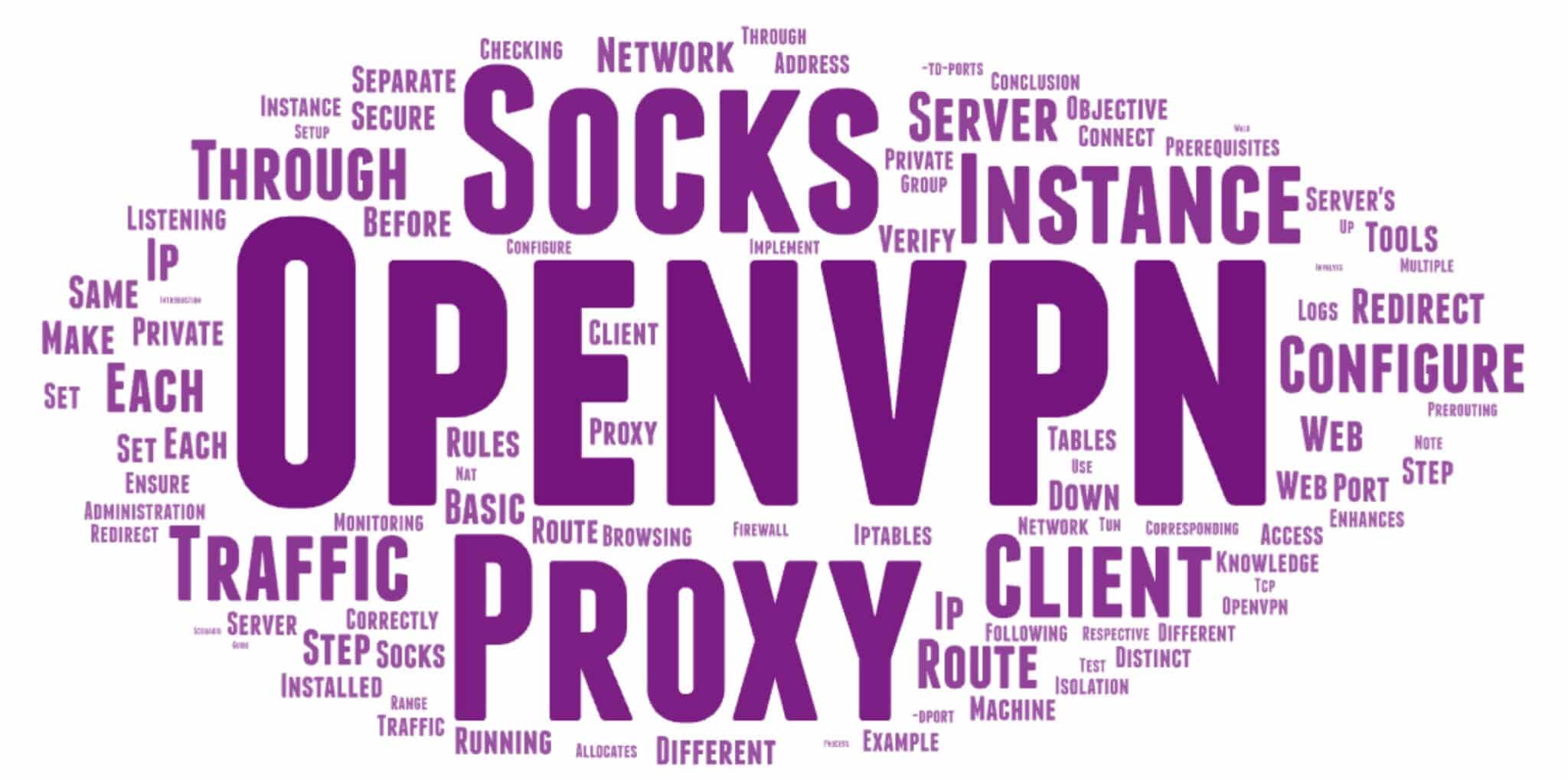 使用 Socks 代理实现多实例 OpenVPN，实现安全的 Web 浏览